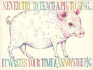 thumbnail version of pig
